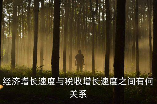 稅收增速是什么，經(jīng)濟(jì)增長(zhǎng)速度與稅收增長(zhǎng)速度之間有何關(guān)系