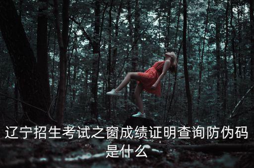 成績證明查詢的防偽碼是什么，遼寧成人高考成績查詢的防偽碼是多少