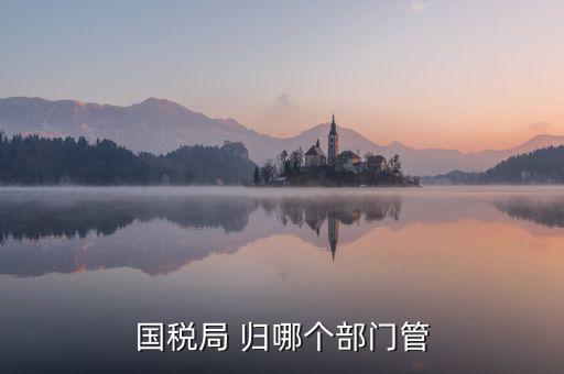國(guó)稅直屬局管什么，國(guó)稅局 歸哪個(gè)部門(mén)管