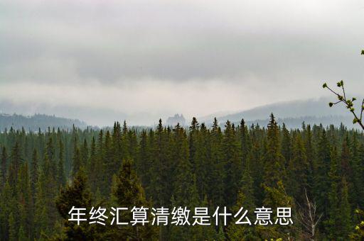 什么是企業(yè)匯算清繳，為什么年底要進(jìn)行企業(yè)所得匯算清繳