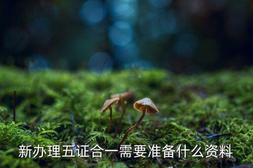 稅務(wù)五證合一需要什么資料，五證合一后稅務(wù)變更需要什么資料