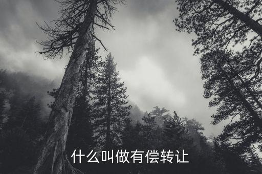 有償轉(zhuǎn)移安置什么意思，有償轉(zhuǎn)發(fā)什么意思