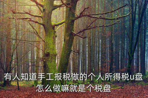 繳個稅用什么盤申報，個人所得稅報盤怎么弄