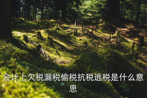 欠繳稅額是什么意思，增值稅申報(bào)表第26欄實(shí)收出口開具專用繳款書退稅額指的是什么