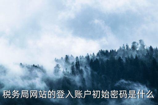 國(guó)稅網(wǎng)上登陸密碼是什么，稅務(wù)局網(wǎng)站的登入賬戶初始密碼是什么