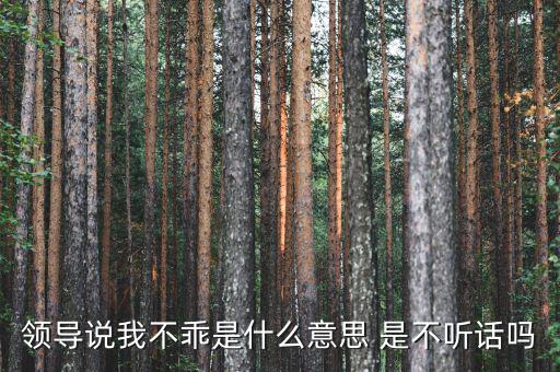 領(lǐng)導(dǎo)說(shuō)我不乖是什么意思 是不聽話嗎