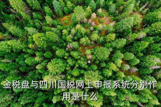 金稅盤的作用是什么，請(qǐng)問(wèn)現(xiàn)在國(guó)稅局換的金稅盤主要的作用是什么