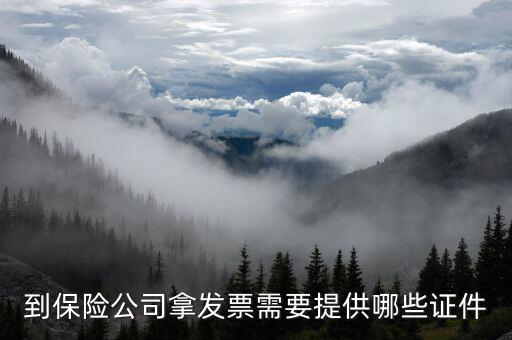 保險開專票需要什么資料，中國人壽保險打發(fā)票要什么手續(xù)