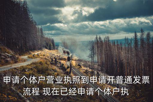 申請(qǐng)個(gè)體戶營(yíng)業(yè)執(zhí)照到申請(qǐng)開普通發(fā)票流程 現(xiàn)在已經(jīng)申請(qǐng)個(gè)體戶執(zhí)