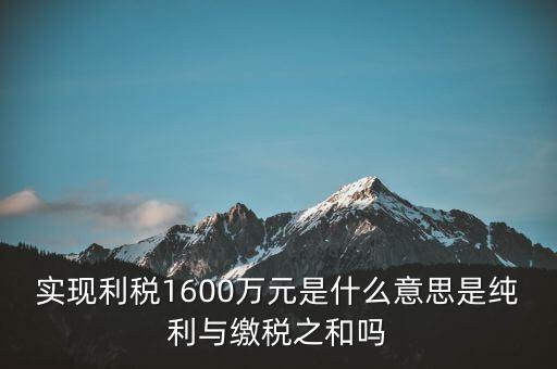 實時繳稅是什么意思，實時扣稅務(wù)請求3001什么意思