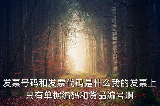 發(fā)票代碼指什么地方，增值稅普通發(fā)票的12位發(fā)票代碼在什么位置