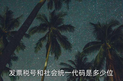 發(fā)票統(tǒng)一社會信用代碼是什么，現(xiàn)在開發(fā)票要的社會信用代碼是誰的代碼