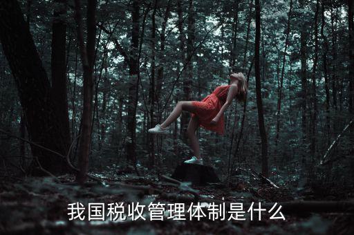 我國稅收管理體制是什么