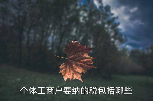 個(gè)體需要繳納什么稅，個(gè)體工商戶需要交哪些稅
