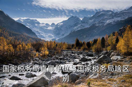 什么叫稅務(wù)直屬局，國(guó)家稅務(wù)局直屬單位與國(guó)家稅務(wù)局啥區(qū)別