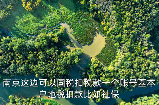 南京這邊可以國稅扣稅款一個(gè)賬號基本戶地稅扣款比如社保