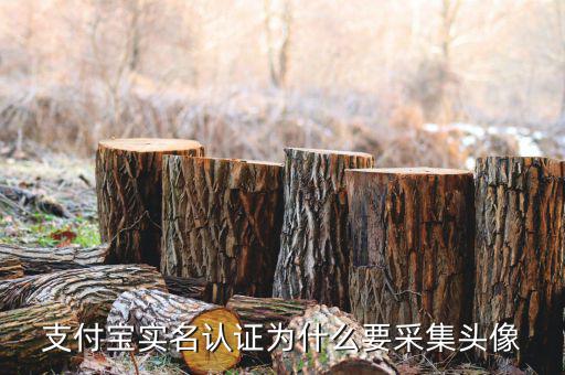 為什么要實(shí)名采集，會計人員為什么要信息采集