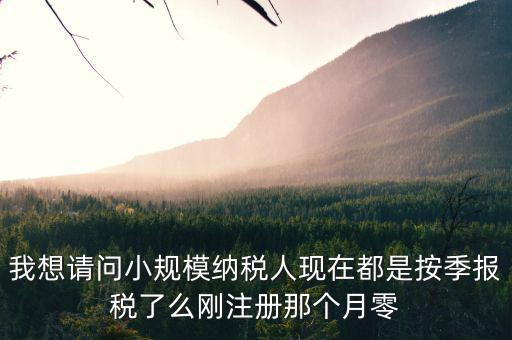 我想請問小規(guī)模納稅人現(xiàn)在都是按季報(bào)稅了么剛注冊那個月零