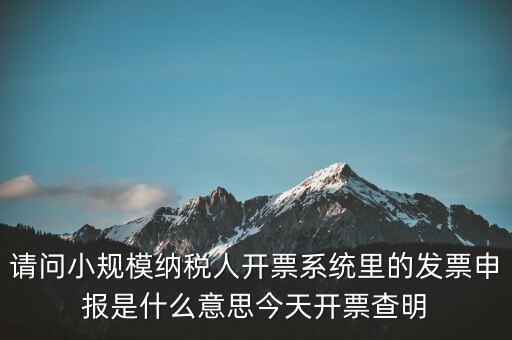 請問小規(guī)模納稅人開票系統(tǒng)里的發(fā)票申報(bào)是什么意思今天開票查明