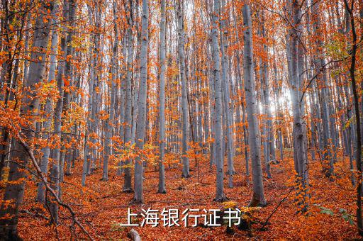 上海ca證書長(zhǎng)什么樣，上海銀行證書