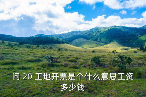 開票界面是指什么意思，會計的開票是什么意思