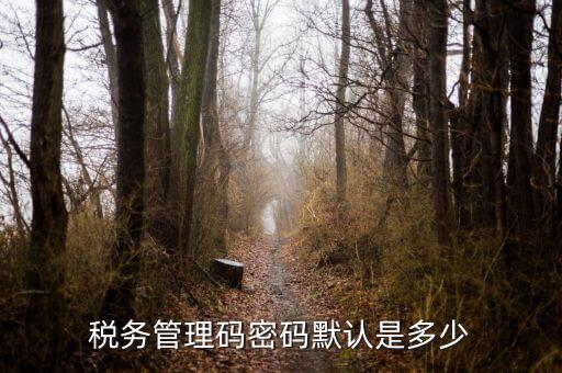 湖北國稅盤原始密碼是什么意思，湖北地稅網(wǎng)絡(luò)發(fā)票登陸密碼是什么急急急