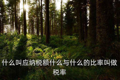 什么叫應(yīng)用稅額，各種收入等于應(yīng)用稅額除以什么