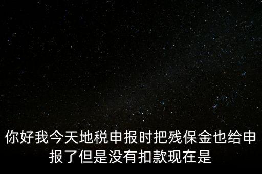你好我今天地稅申報(bào)時(shí)把殘保金也給申報(bào)了但是沒(méi)有扣款現(xiàn)在是