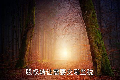 股權(quán)轉(zhuǎn)讓需要繳納什么稅，股權(quán)轉(zhuǎn)讓要交什么稅