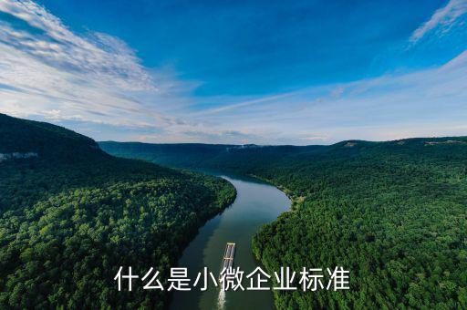 什么是小型微利企業(yè)標(biāo)準(zhǔn)，微小型企業(yè)的標(biāo)準(zhǔn)是什么