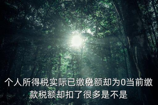 實(shí)繳稅額為什么是0，當(dāng)期的實(shí)交增值稅額為0是否進(jìn)行城建稅的申報(bào)什么意思可以不用申報(bào)