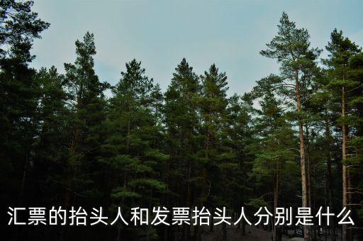 發(fā)票司稱人什么意思，匯票的抬頭人和發(fā)票抬頭人分別是什么