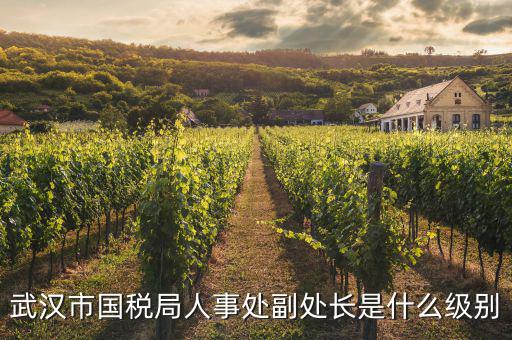 國(guó)稅局所長(zhǎng)是什么職位，杞縣國(guó)稅局于鎮(zhèn)分局所長(zhǎng)