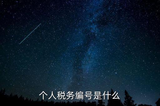 個(gè)人的稅收編號(hào)是什么，個(gè)人所得稅里面的注冊(cè)編碼是什么