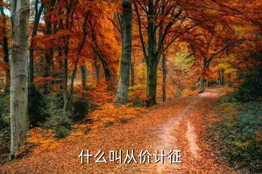 資源稅從價(jià)計(jì)征是什么意思，什么是從價(jià)計(jì)征和從量計(jì)征