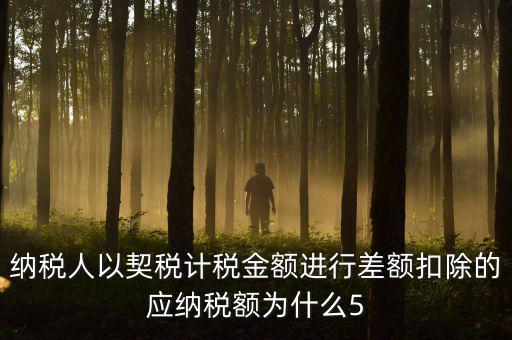 為什么 契稅 差額計稅，最新房產(chǎn)稅費