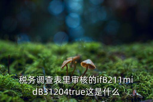 國(guó)稅調(diào)查表有什么意義，國(guó)稅要求地址普查的目的是什么