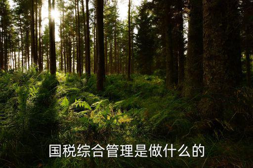 國稅綜合業(yè)務(wù)是什么，國稅綜合管理是做什么的