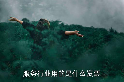 服務(wù)業(yè)發(fā)票是什么發(fā)票，服務(wù)發(fā)票是不是普通發(fā)票的一種