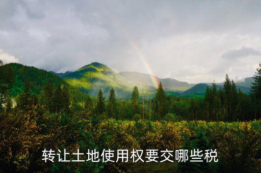 轉(zhuǎn)讓土地使用權(quán)要交什么稅，轉(zhuǎn)讓土地使用權(quán)要交哪些稅