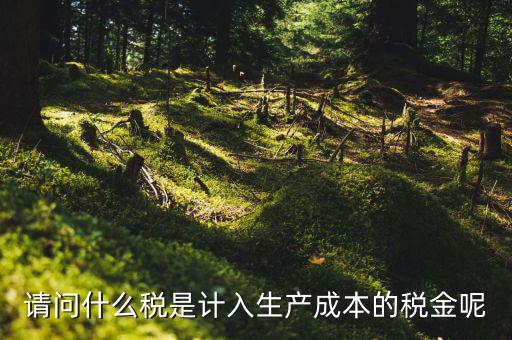 什么稅計入成本，請問什么稅是計入生產成本的稅金呢