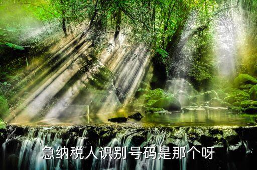 納稅人識別卡是什么，一般納稅人的IC卡的型號中JK100和JK300有什么區(qū)別