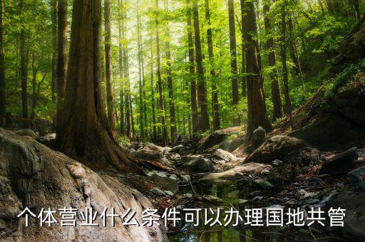 國地管戶類型是什么，國稅地稅共管戶