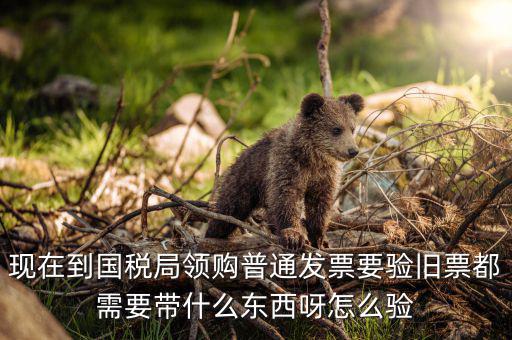 發(fā)票驗舊都需要帶什么，現(xiàn)在到國稅局領(lǐng)購普通發(fā)票要驗舊票都需要帶什么東西呀怎么驗