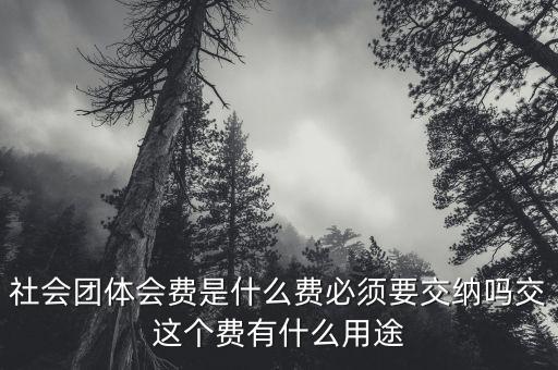 社會(huì)團(tuán)體費(fèi)是什么，誰(shuí)知道工商個(gè)體協(xié)會(huì)社會(huì)團(tuán)體會(huì)員費(fèi)是什么