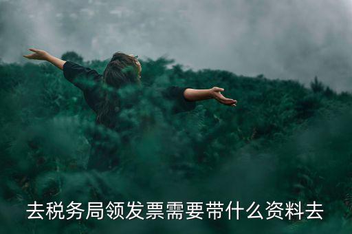 領(lǐng)電子發(fā)票需要帶什么資料，去稅務(wù)局領(lǐng)發(fā)票需要帶什么資料去