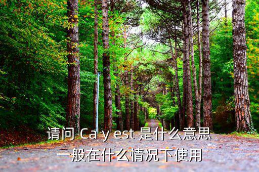 ca棒有什么作用是什么意思，CA的全稱是什么它的具體作用是什么