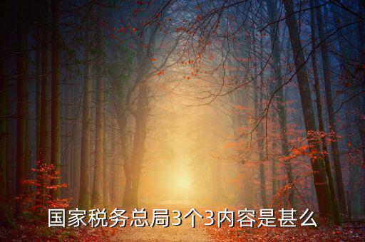 國家稅務(wù)總局3個(gè)3內(nèi)容是甚么