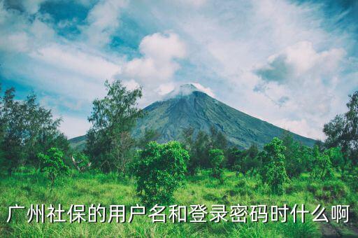 地稅社保用戶名是什么，南京這邊可以國(guó)稅扣稅款一個(gè)賬號(hào)基本戶地稅扣款比如社保