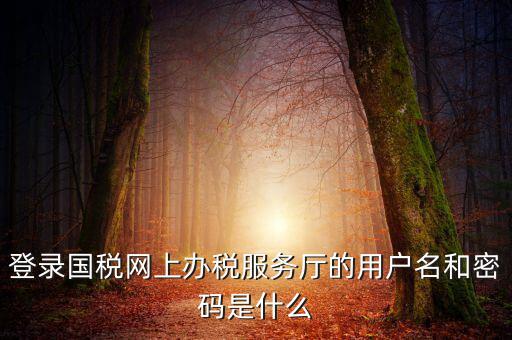 稅務(wù)登陸密碼是什么意思，國(guó)稅第一次網(wǎng)上申報(bào)的登陸密碼是什么